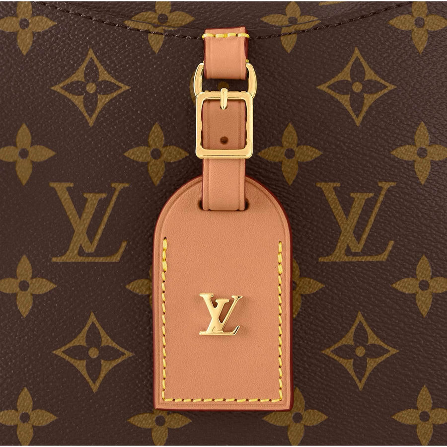 Louis Vuitton Canoé Bucket Bag Monogram Canvas brown with beige 21 cm