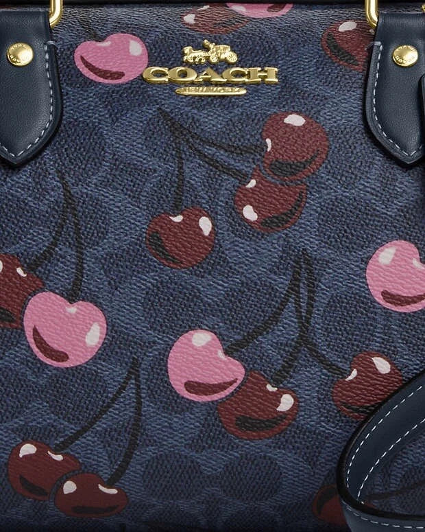 Coach Mini Rowan Crossbody 20 cm Signature Canvas With Cherry Print